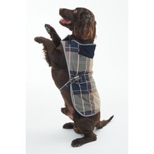 Barbour Wetherham Ekose Köpek Montu PI19 Gardenia Tartan