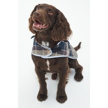 Barbour Wetherham Ekose Köpek Montu PI19 Gardenia Tartan