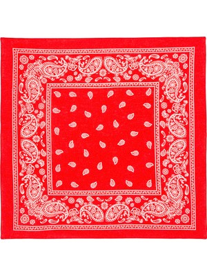 Mavi Kadın Baskılı Kırmızı Bandana 1911810-82580