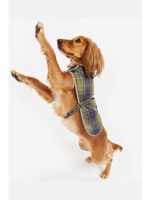 Barbour Wetherham Ekose Köpek Montu TN11 Classic Tartan