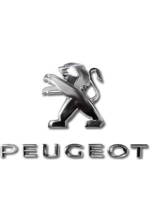 STK12 Sticker Autocollant : logo Peugeot Rectangle Largeur 18 cm hauteur 8  cm