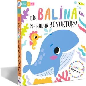 Bir Balina Ne Kadar Büyüktür? (Hareketli Kitaplar Kaydır + Keşfet) - Lisa Regan