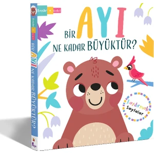 Bir Ayı Ne Kadar Büyüktür? (Hareketli Kitaplar Kaydır + Keşfet) - Lisa Regan