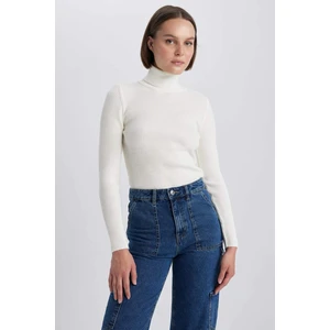 Slim Fit Balıkçı Yaka Kazak X7912AZ23AU