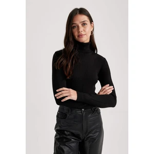 Slim Fit Balıkçı Yaka Kazak X7912AZ23AU