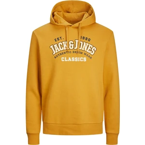 Jack & Jones Erkek Kapşonlu Sweatshirt 12233597