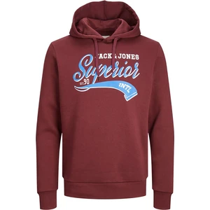 Jack & Jones Erkek Kapşonlu Sweatshirt 12233597