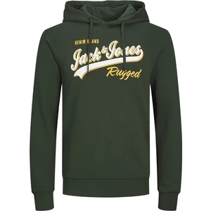 Jack & Jones Erkek Kapşonlu Sweatshirt 12233597