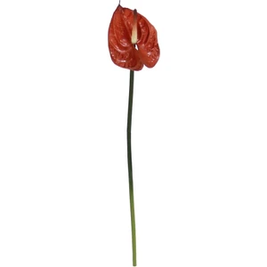 Yapay Antoryum Çiçeği Canlı Dokunuş Kahverengi 40 cm