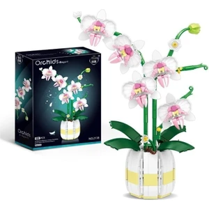 Korunmuş Çiçek Montajlı Dekorasyon Phalaenopsis Çiçek Masaüstü Dekorasyonu (Yurt Dışından)