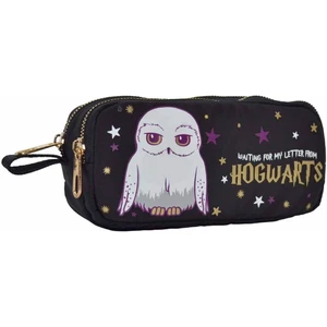 Harry Potter Hogwarts Hedwig Kalem Kutusu