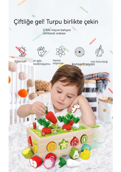Çocuk Eğitici Oyuncaklar (Yurt Dışından) fiyatları