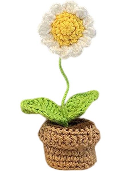 Tamamen Başlayan Örme Flowerpot Tümü Tığ Işi Tığ Işi (Yurt Dışından)