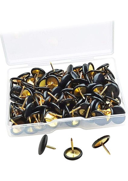 Thumbtacks (Yurt Dışından)