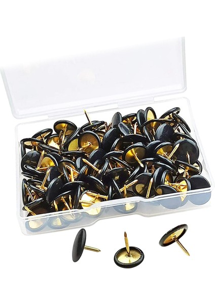 Thumbtacks (Yurt Dışından)