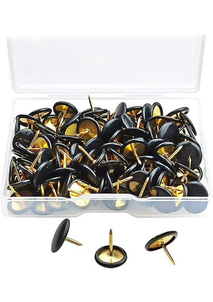 Thumbtacks (Yurt Dışından)