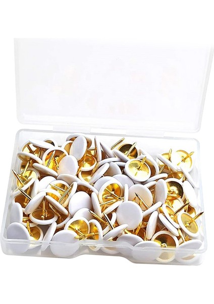 Thumbtacks (Yurt Dışından)