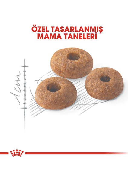 Fit 32 Kedi Maması - 15 kg