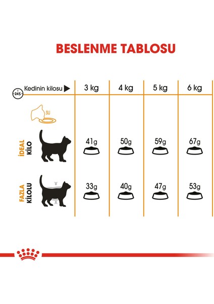 Hair Skin Care Kedi Maması - 4 kg fırsatları