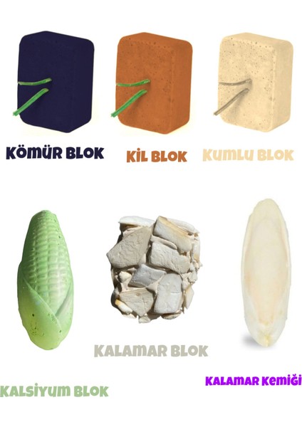 Kuşlar Için Vitamin Sağlık / Kalsiyum / Kalamar / Kil / Kömür Blok Seti 6 Parça