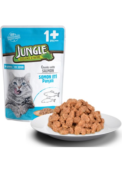 Kedi Somonlu 24 Adet 100 G Pouch