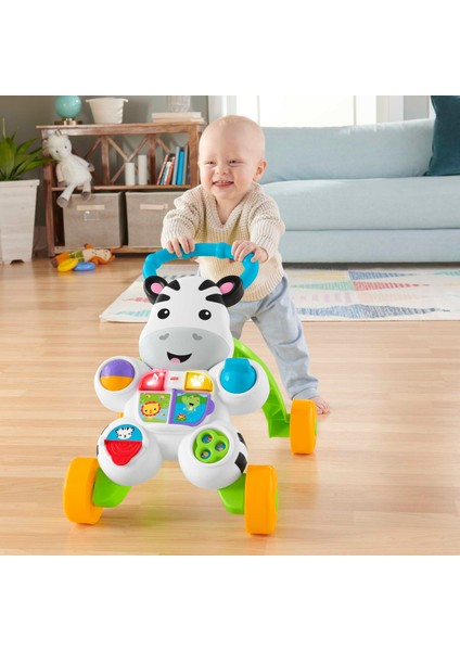 Melodili Zebra Yürüteç DLD80, 6 Aylık Bebeğiniz İçin Eğlenceli Aktiviteler ve Müzik modelleri