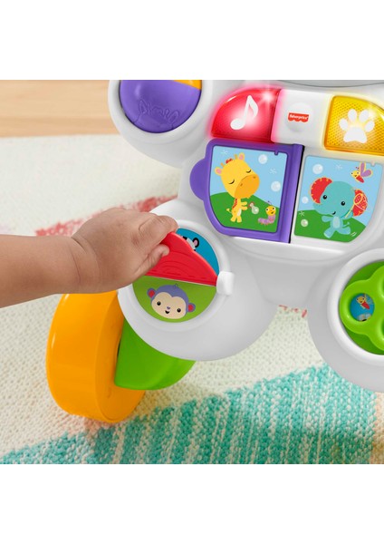 Melodili Zebra Yürüteç DLD80, 6 Aylık Bebeğiniz İçin Eğlenceli Aktiviteler ve Müzik fırsatları