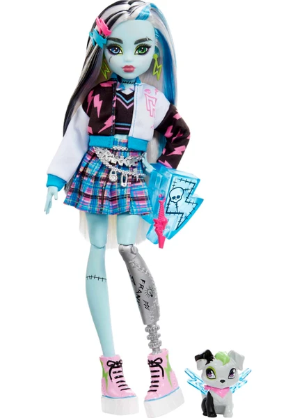 Monster High Frankie Stein Ana Karakter Bebekler, 4 yaş ve üzeri, HHK53