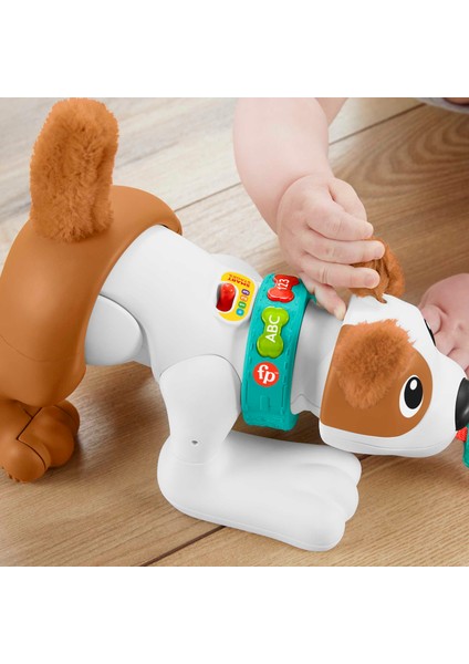 Emeklemeyi Öğreten Kahverengi Köpekçik Eğitici Oyun 0-24 Ay Plastik Malzeme fiyatları