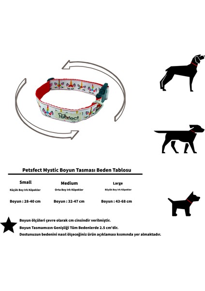 Mystic Köpek Boyun Tasması