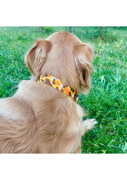 Yellow Cow Köpek Boyun Tasması