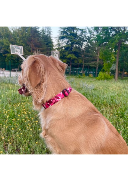 Pink Cow Köpek Boyun Tasması