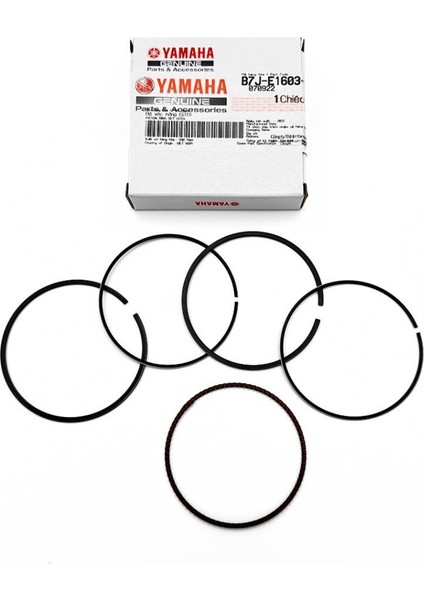 Delight 125 Segman B7JE16034000