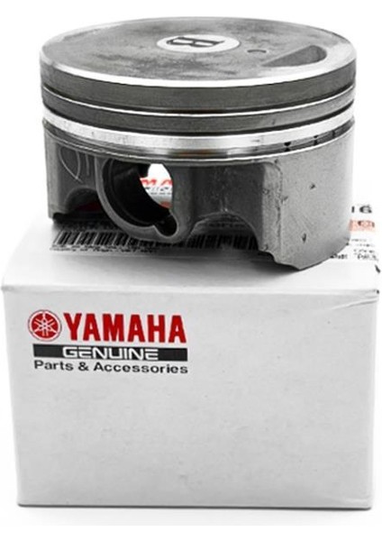 Delight 125 Piston 2BME16313000