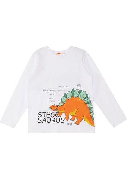 Stegosaurus Erkek Çocuk T-Shirt Pantolon Takım