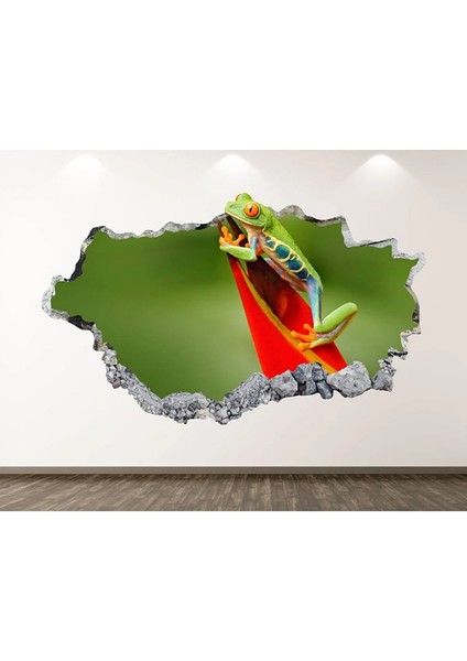 Ağaç Kurbağası Full Hd Baskı 3D Modern Duvar Sticker