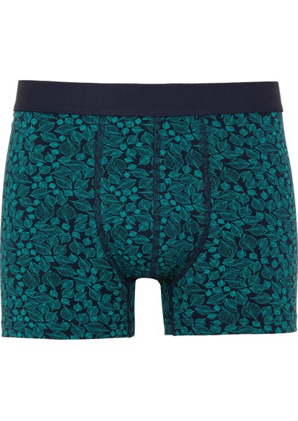 Çizgili 3'lü Boxer T4935AZ23AU fiyatları