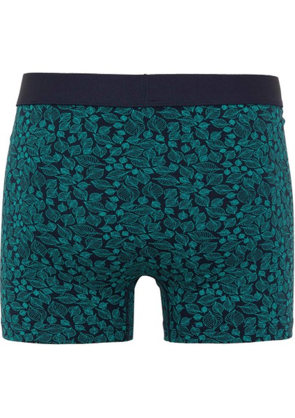 Çizgili 3'lü Boxer T4935AZ23AU modelleri