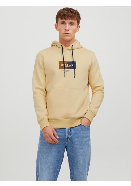 Kapüşonlu Standart Kalıp Sarı Erkek Sweatshirt 12242197