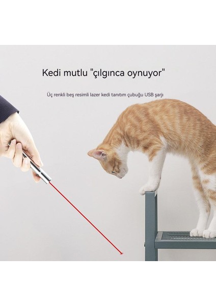 USB Şarj Edilebilir Kızılötesi Kedi Tanıtım Kalemi (Yurt Dışından)