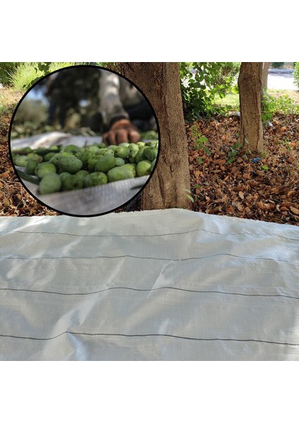 5x8 Metre Zeytin Sergeni Zeytin Toplama Örtüsü Fındık Fıstık Dut Toplama Filesi Beyaz Hasat Taban Örtüsü