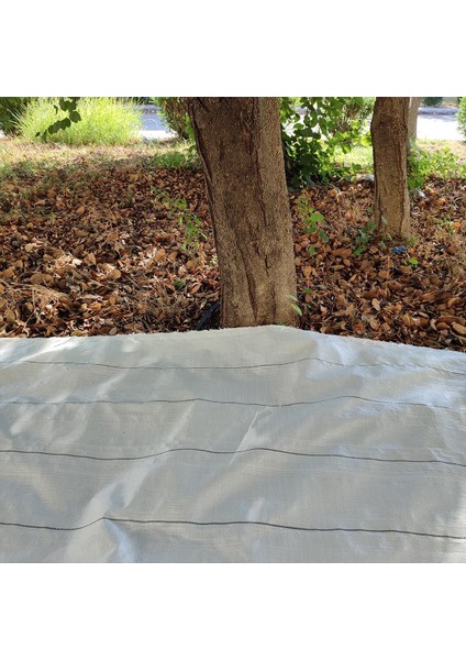 5x4 Metre Zeytin Sergeni Zeytin Toplama Örtüsü Fındık Fıstık Dut Toplama Filesi Beyaz Hasat Taban Örtüsü modelleri