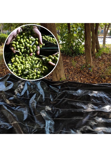 5X12 Metre Zeytin Sergeni Zeytin Toplama Örtüsü Fındık Fıstık Dut Toplama Filesi Hasat Taban Örtüsü