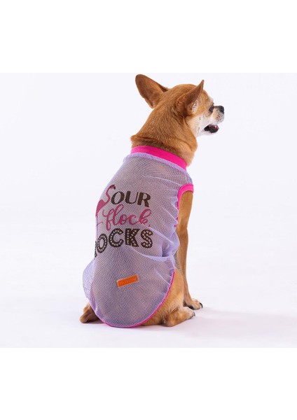 Rocks Mesh Kedi Köpek Tişörtü - Kedi Köpek Kıyafeti