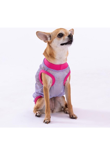 Rocks Mesh Kedi Köpek Tişörtü - Kedi Köpek Kıyafeti