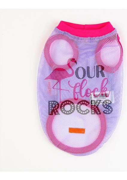 Rocks Mesh Kedi Köpek Tişörtü - Kedi Köpek Kıyafeti modelleri