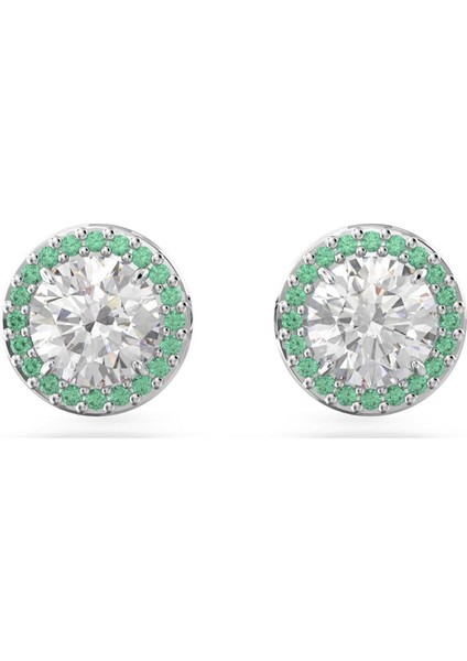5639750 Swarovski Küpe Ss Te Constella:pe Stud Pave Whıte/rhs