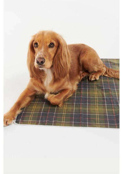 Tartan Hızlı Kuruyan Köpek Havlusu TN11 Classic Tartan