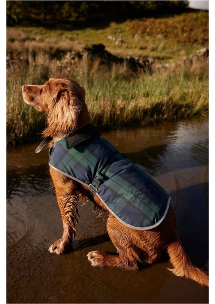 Wetherham Ekose Köpek Montu NY91 Blackwatch Tartan