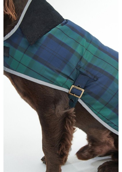 Wetherham Ekose Köpek Montu NY91 Blackwatch Tartan